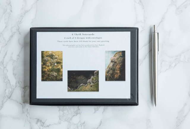Thrift Note Cards
