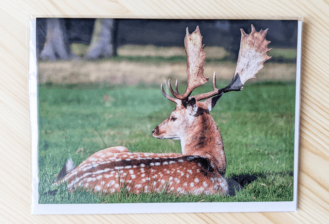 Soak Up The Sun Blank Card