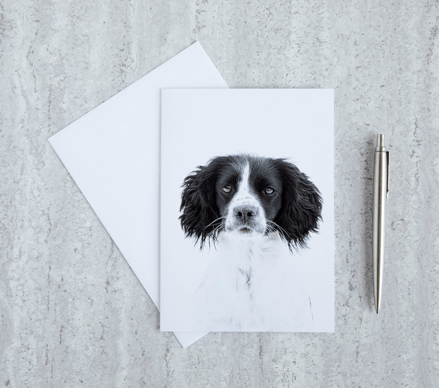 Black & White Blank Card