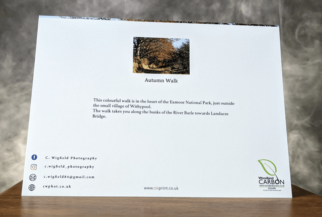 Autumn Walk Blank Card