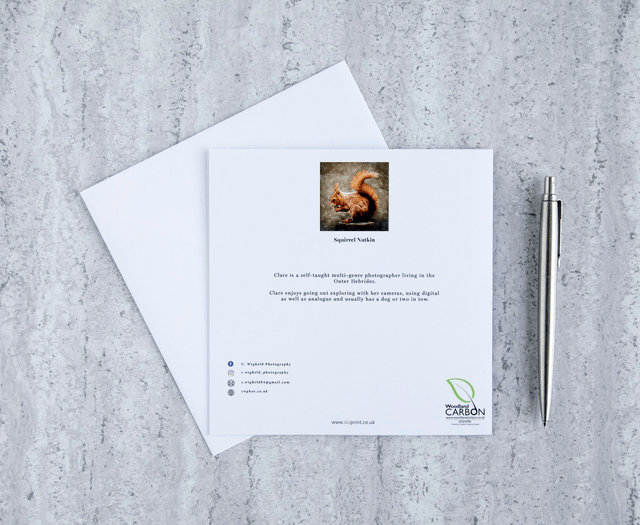 Squirrel Nutkin Blank Card