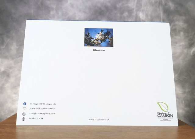 Blossom Blank Card