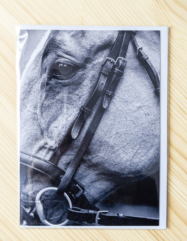Window to Their Soul Blank Card