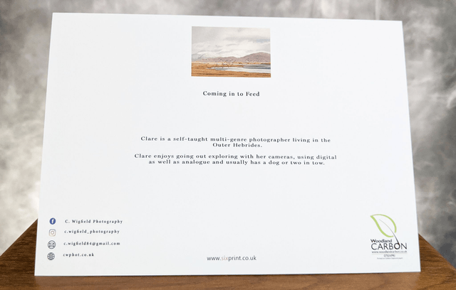 Coming In to Feed Blank Card