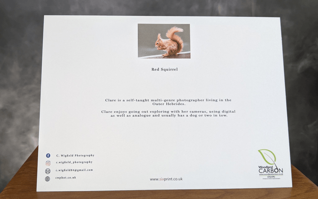 Red Squirrel Blank Card