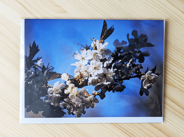 Blossom Blank Card