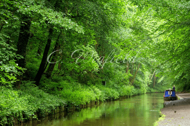 Narrow Boat Blank Card