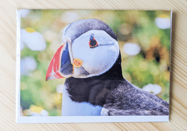 Puffin Blank Card