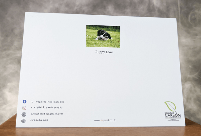 Puppy Love Blank Card
