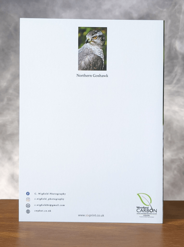 Northern Goshawk Blank Card