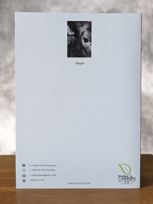 Angus Blank Card