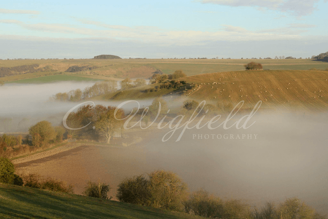 Misty Morning Blank Card