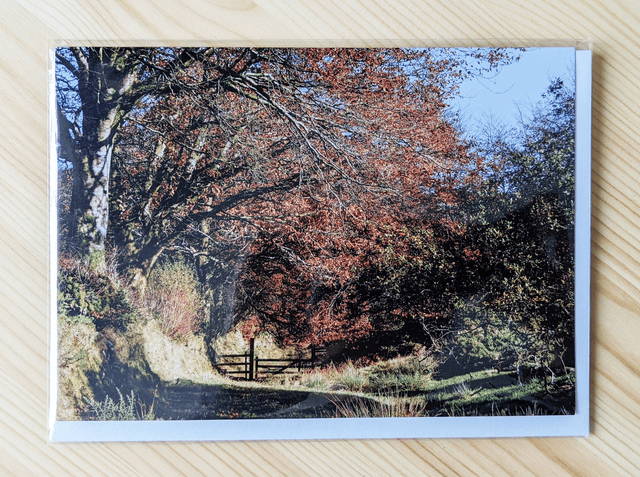 Autumn Walk Blank Card