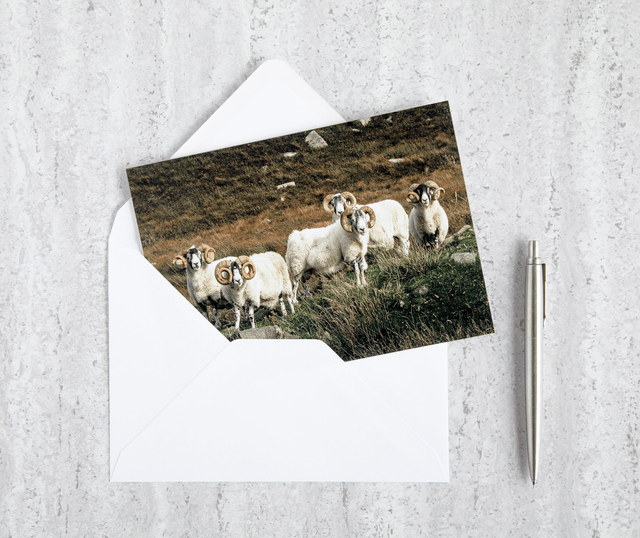 Here Come The Boys! Blank Card