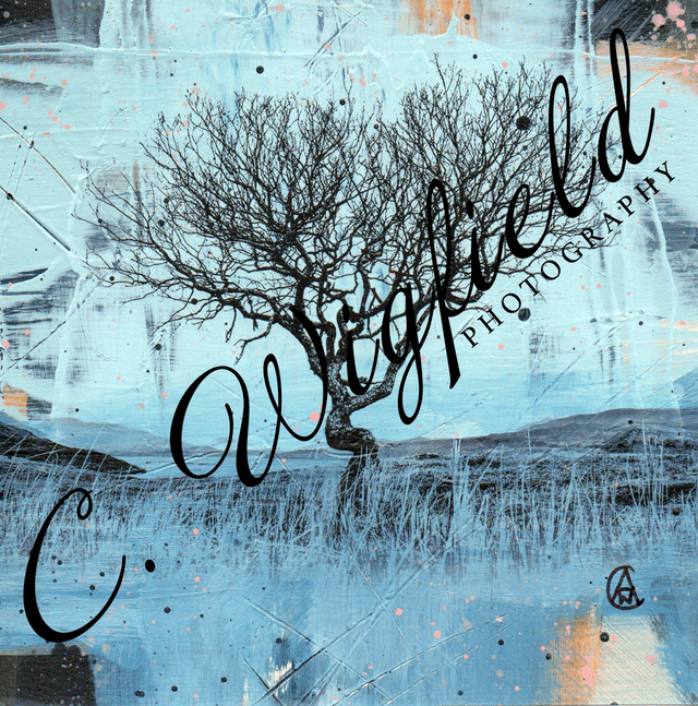 Maraig Tree Mixed Media Original