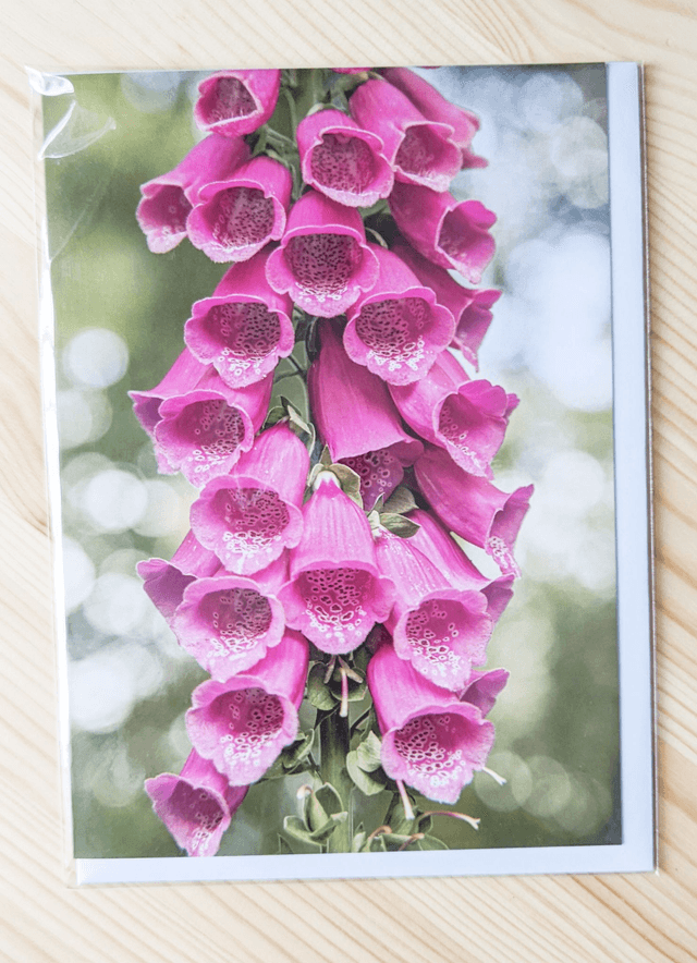 Foxglove Blank Card
