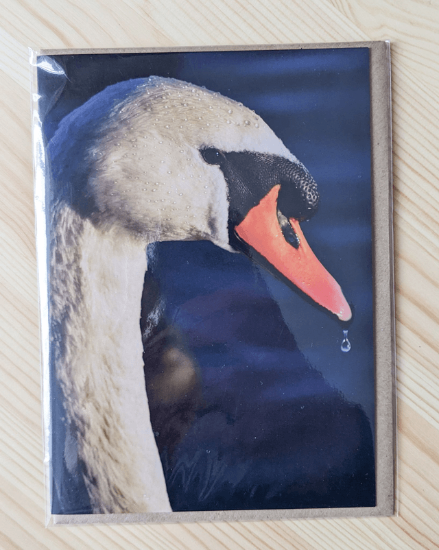 Swan Lake Blank Card