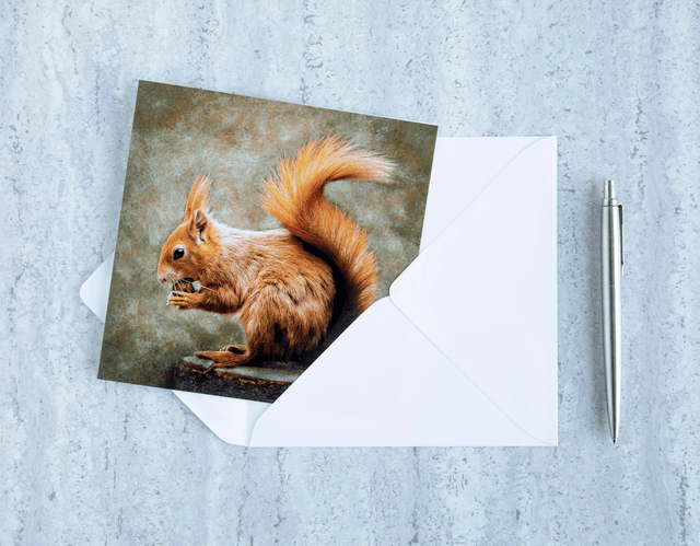 Squirrel Nutkin Blank Card