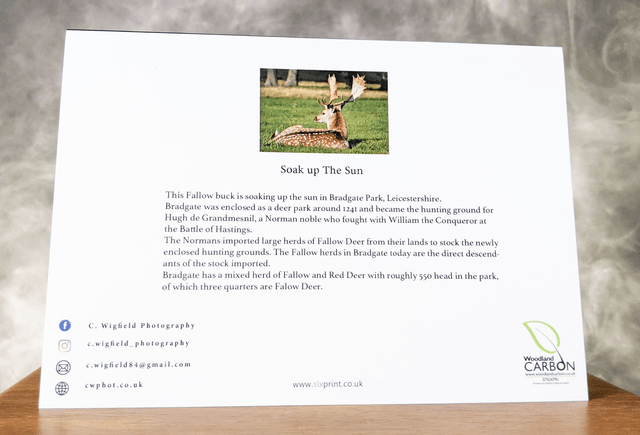 Soak Up The Sun Blank Card