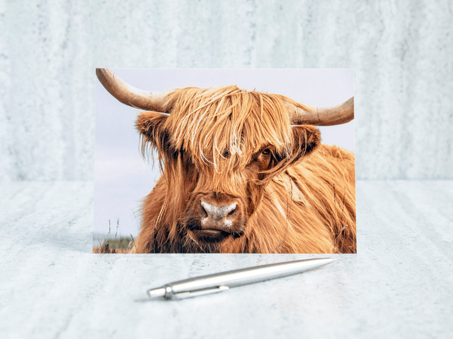 Heilan Coo Blank Card