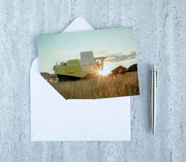 Sunset Harvest Blank Card