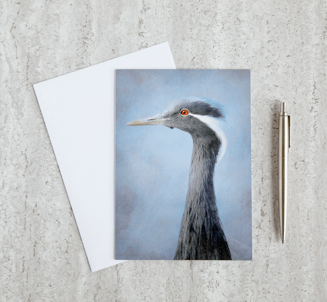 Demoiselle Crane Blank Card