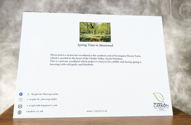 Spring Time in Manwood Blank Card