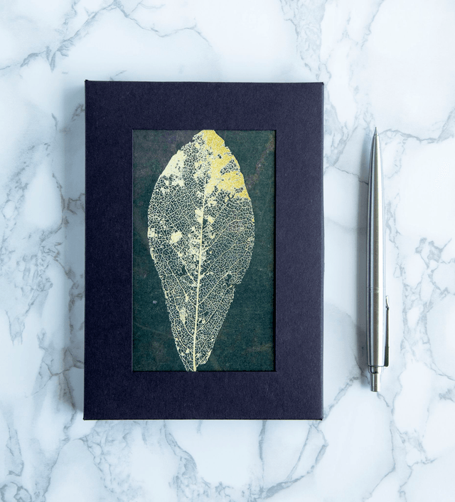Magnolia Leaves Blank Note Cards x6