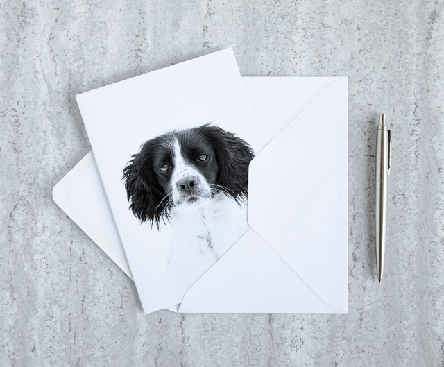 Black & White Blank Card
