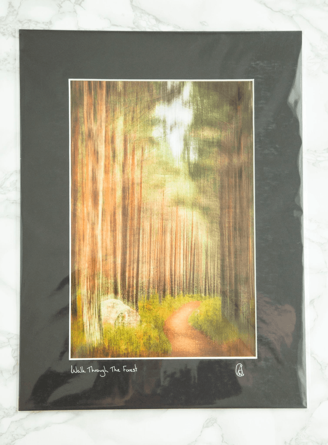 Walk Through The Forest Mounted Print