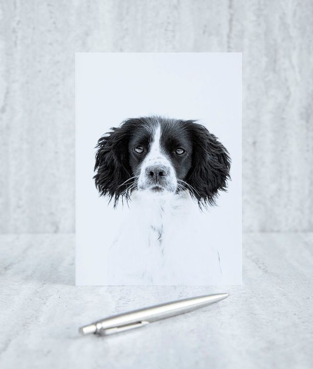 Black & White Blank Card