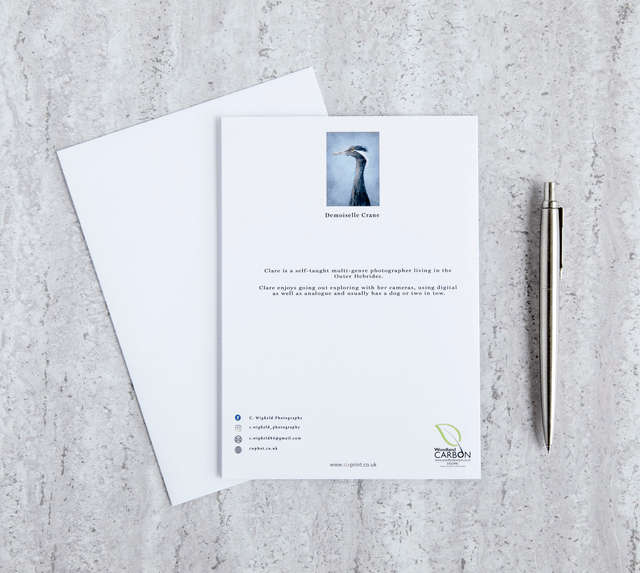 Demoiselle Crane Blank Card