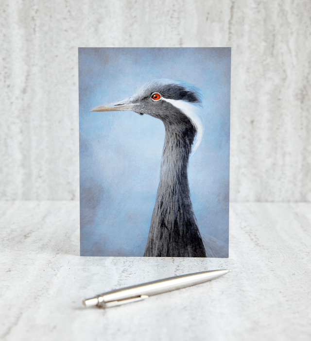 Demoiselle Crane Blank Card