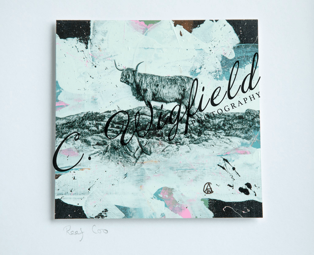 Reef Coo Mixed Media Original