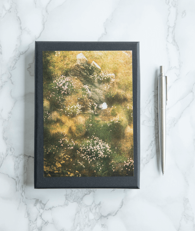 Thrift Note Cards