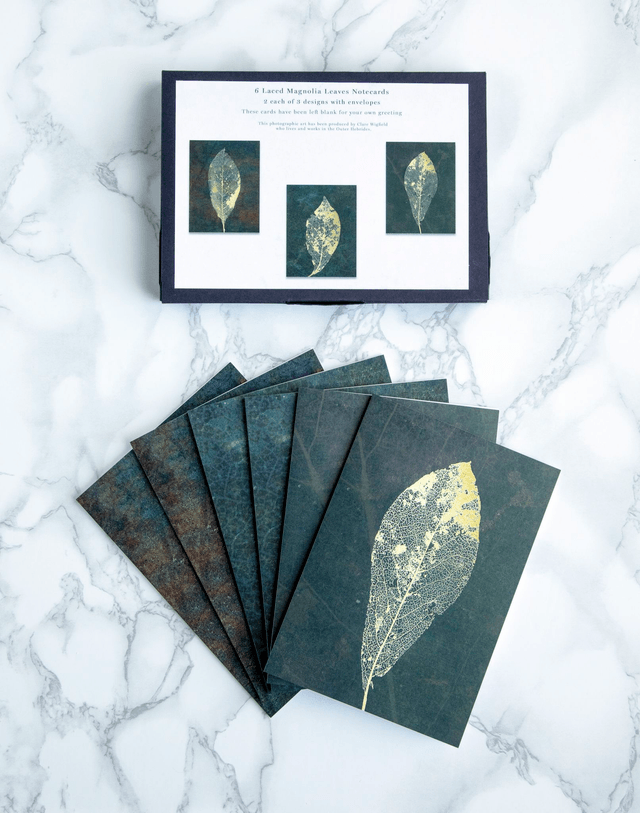 Magnolia Leaves Blank Note Cards x6