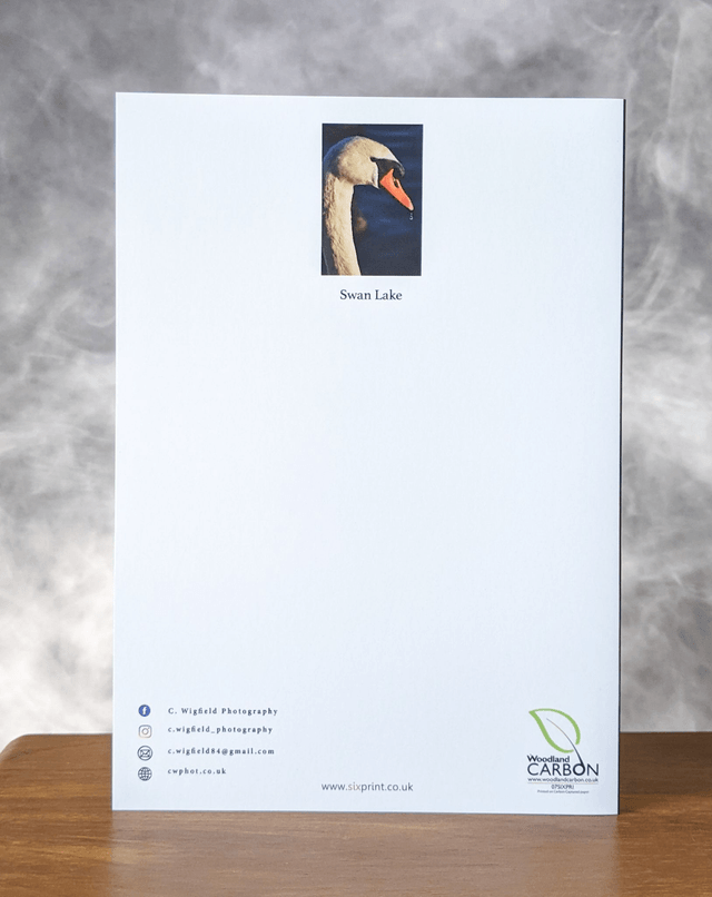 Swan Lake Blank Card