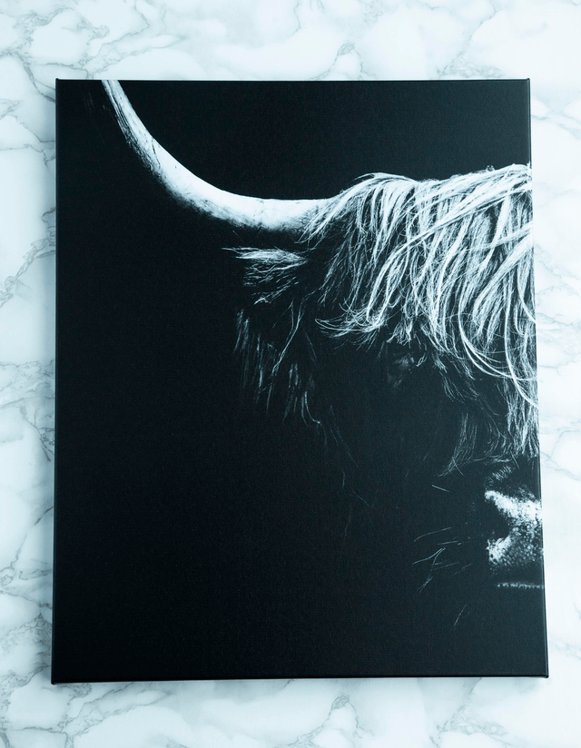 From The Darkness Canvas