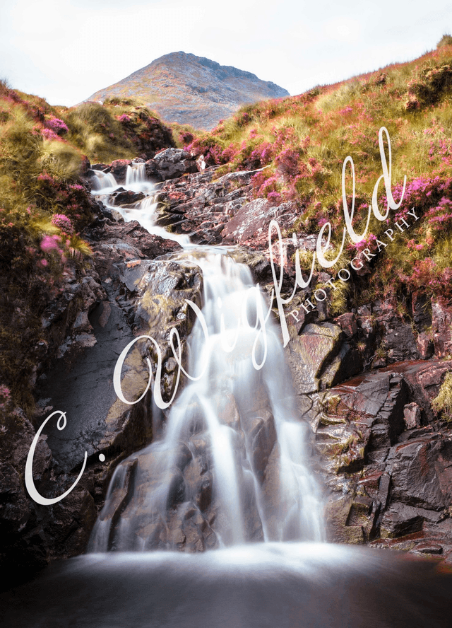 Clisham &amp; Heather Mounted Print