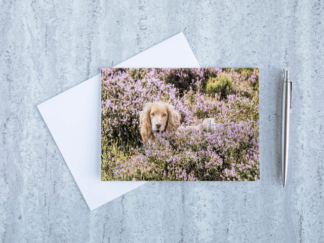 Amongst The Heather Blank Card