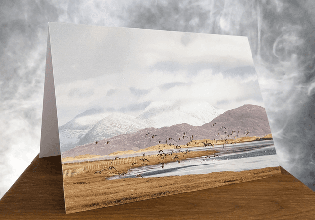 Coming In to Feed Blank Card