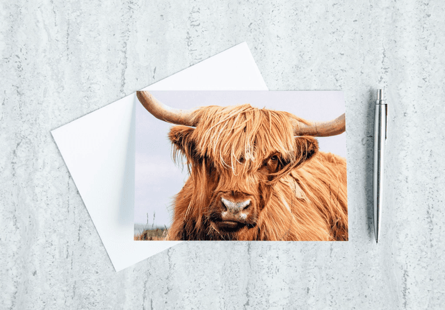 Heilan Coo Blank Card