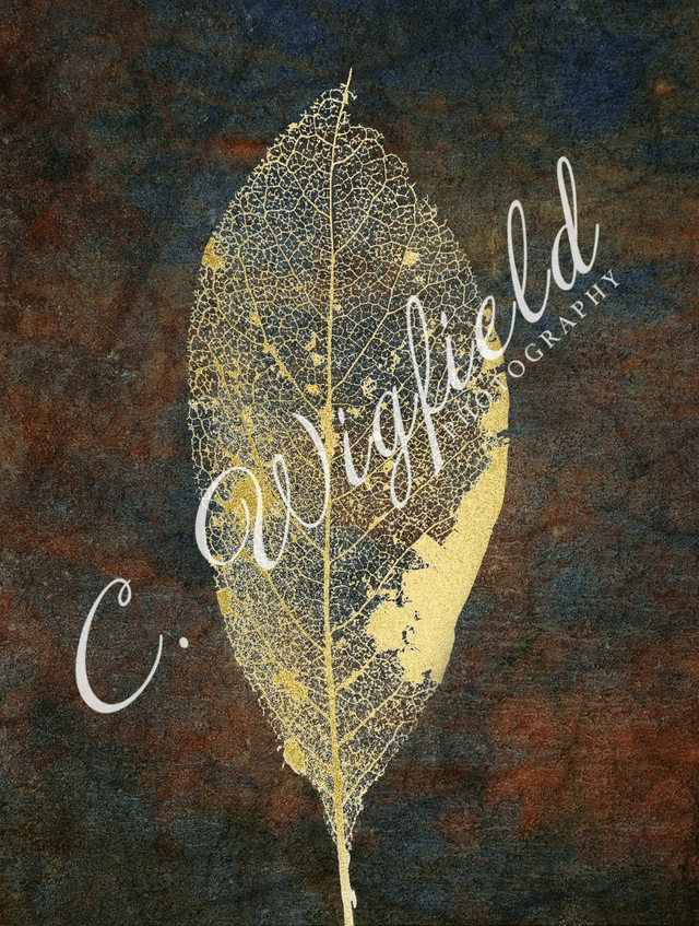 Laced Magnolia Leaf Study I Mounted Print