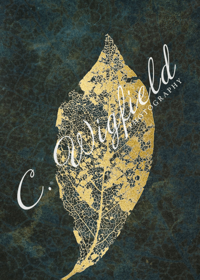 Laced Magnolia Leaf Study II Mounted Print