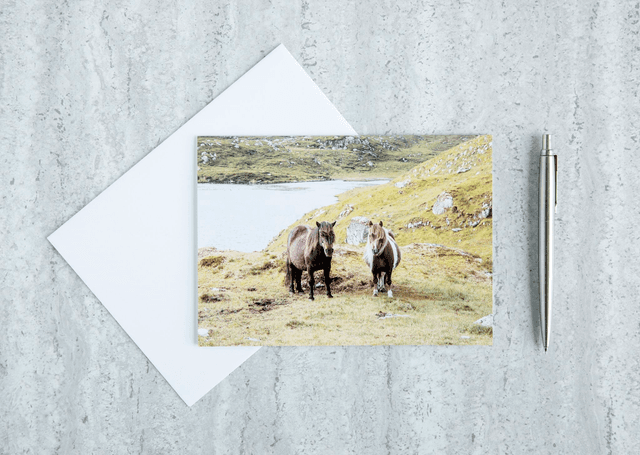 Double Trouble! Blank Card