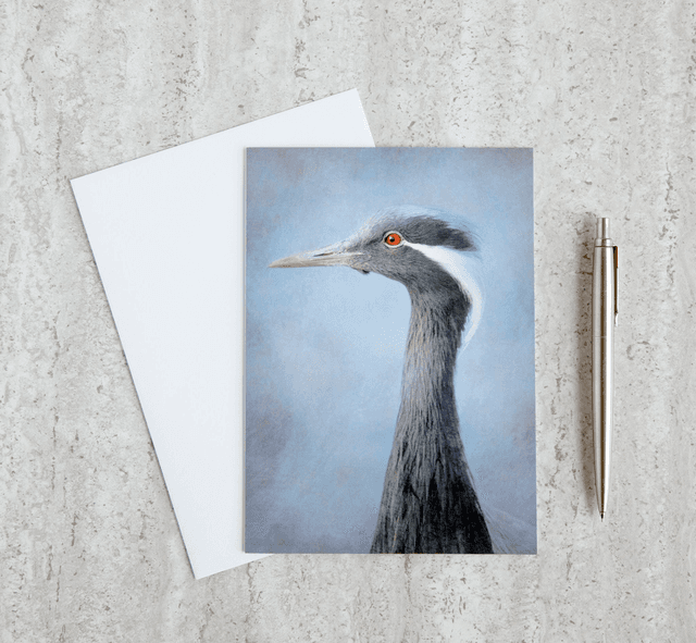 Demoiselle Crane Blank Card