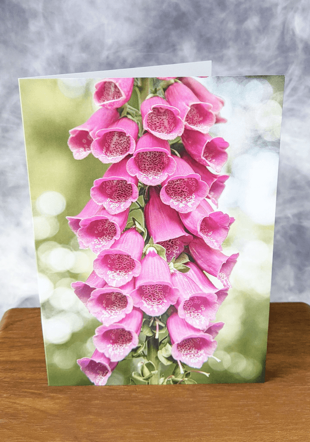 Foxglove Blank Card