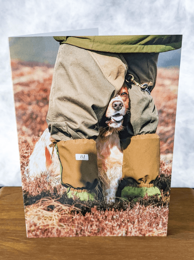 Hiding Blank Card