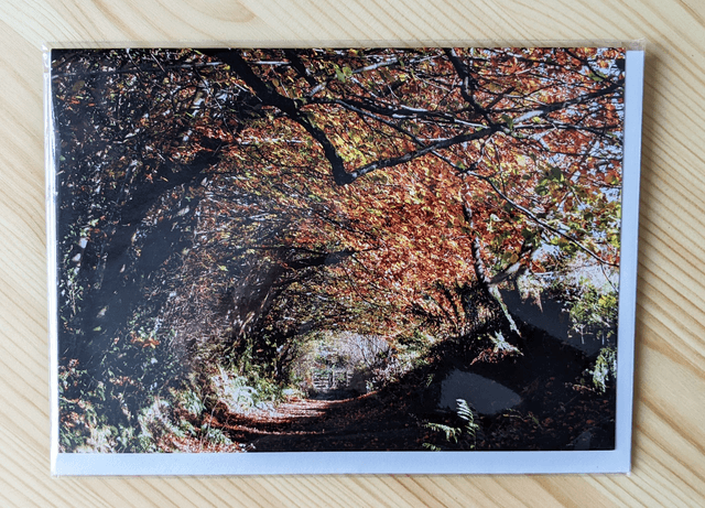 Autumn Tunnel Blank Card