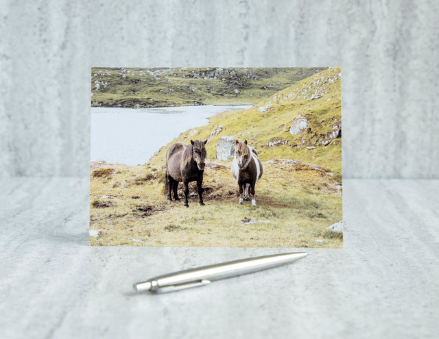 Double Trouble! Blank Card